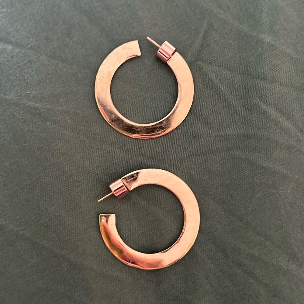 Jennifer Fisher hoops earrings